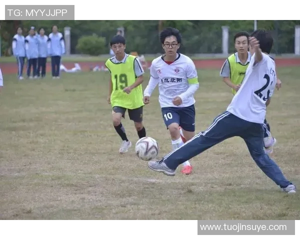 辽宁足球星光璀璨 聚焦辽宁籍球员在国内外赛场的卓越表现与成就